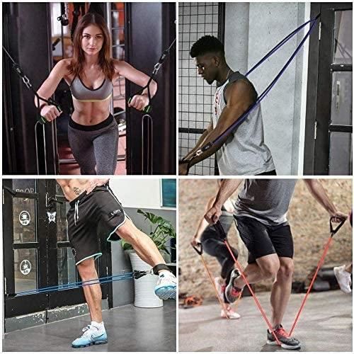 Bandes de Resistance Elastiques Musculation Set, Latex Fitness Exercice  Bands Kit avec Ancre de Porte/Poignées/Sangle de Cheville po - Cdiscount  Sport