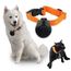 Camera Cachee Espion Pour Chien Et Chat Camera Collier Espion Cat Videocam Achat Vente Camera Miniature Cdiscount