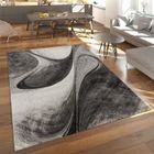 PACO HOME Tapis De Salon Gris Chambre Motif Abstrait Design Moderne Poils Ras [80x150 cm]