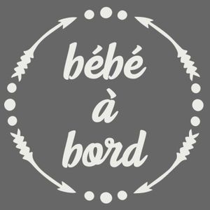 Bebe A Bord Ventouse Cdiscount