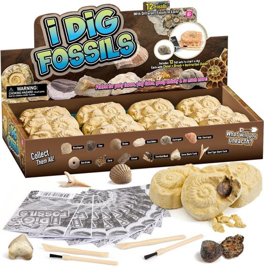 Byncceh Kit De Excavacion De Fosiles, Juguetes Educativos De | Cuotas Byncceh Kit De Excavacion De Fosiles, Juguetes Educativos De | Cuotas