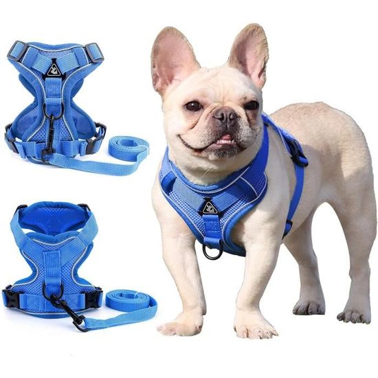 Chaussures D'été Pour Chien CUVZORA - 4 Chaussures En Maille Respirante, Anti-dérapantes Avec Bandes Réfléchissantes (taille L, Bleu) - 13