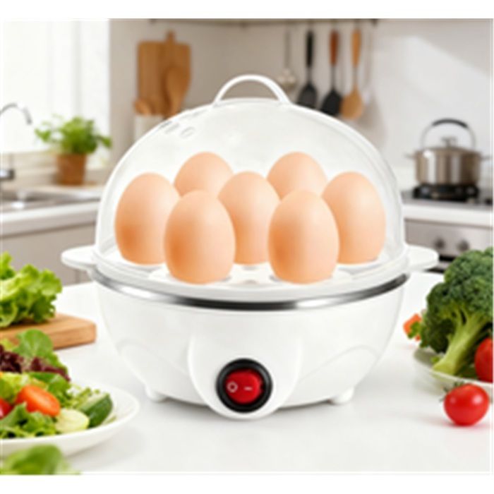 1 personne Mini cuiseur à oeufs mise hors tension automatique multi-fonctionnelle oeuf cuit à la vapeur oeuf bouilli Maker pour