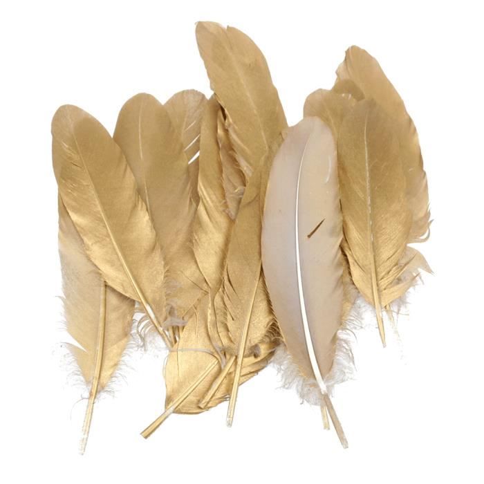 100 Plumes D'oie Naturelles Noires - Pour Décorations, Costumes Et événements