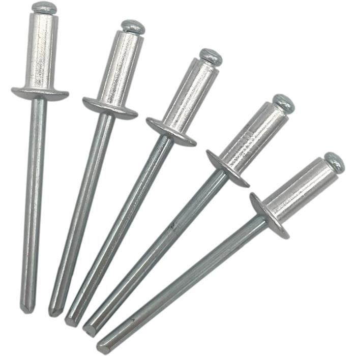 Gr10 Rivets Lot De 100 Rivets Aveugles 4,0 X 10 Mm À Tête Bombée Type Ouvert Din ...
