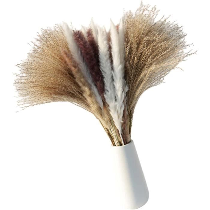 ZJTAPE Herbe de Pampa Séchée - 130 pièces Décoration de Fleurs Séchées Naturelles, Fleurs séchées Dried Flowers, Lagurus Séchées Bouquet pour Mariage Table Salon Vases Boho Home Décor
