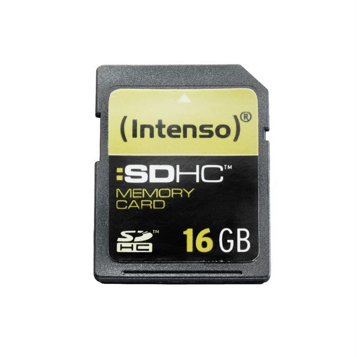 Carte mémoire flash Intenso SDHC