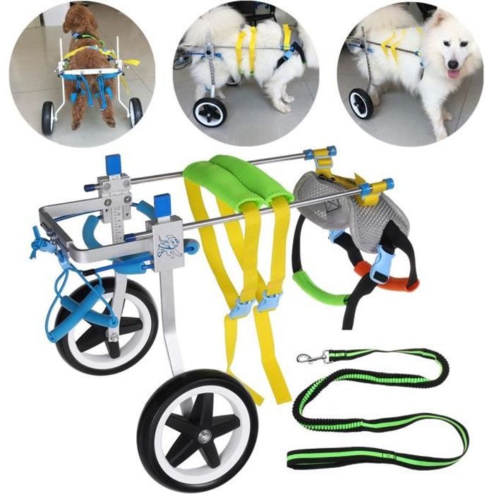 animal chariot fauteuil roulant s à 2 roulettes corde de traction chien chat handicapé postérieurs auxiliaires outil marche aide