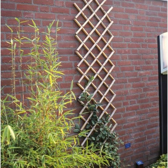 Treillis Extensible En Bambou Naturel STI - 90 X 240 Cm - Grillage Pour Plantes Grimpantes - Brise-Vue Pour Jardin, Terrasse, Balcon - Diamètre Cannes 20-22 Mm