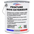 Peinture Bois Exterieur - Pot 5 L   - Codeve Bois - 9010 - Blanc pur-0