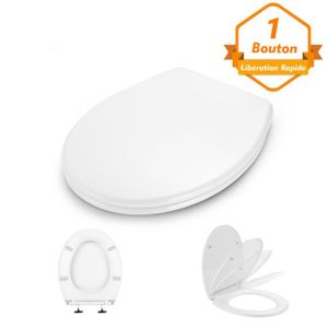 Abattant wc non standard deals