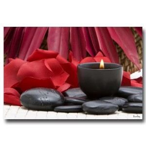 Tableau Fleur Rouge Achat Vente Pas Cher