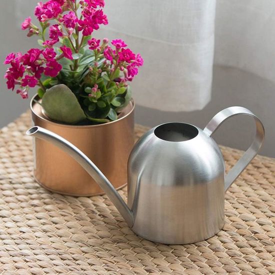 Arrosoir D'Intérieur 1,2L Acier Inoxydable Avec Poignée Bois - Design Élégant Pour Plantes