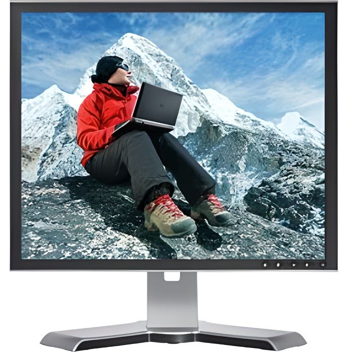 Ecran Plat 19'' DELL UltraSharp 1908FP (B/C/F/T)