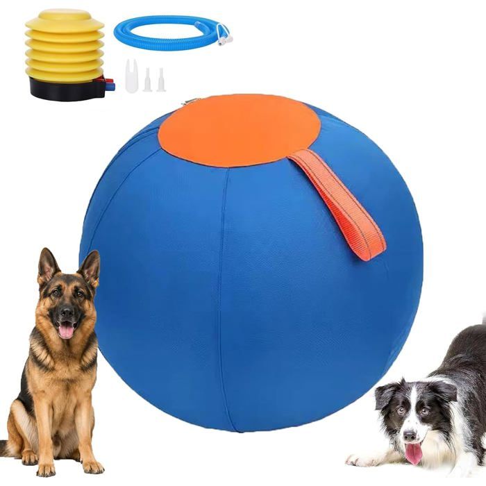 Balle de jeu pour chien de 25 cm - Grand ballon interactif et résistant pour exercice en plein air et entraînement - Bleu