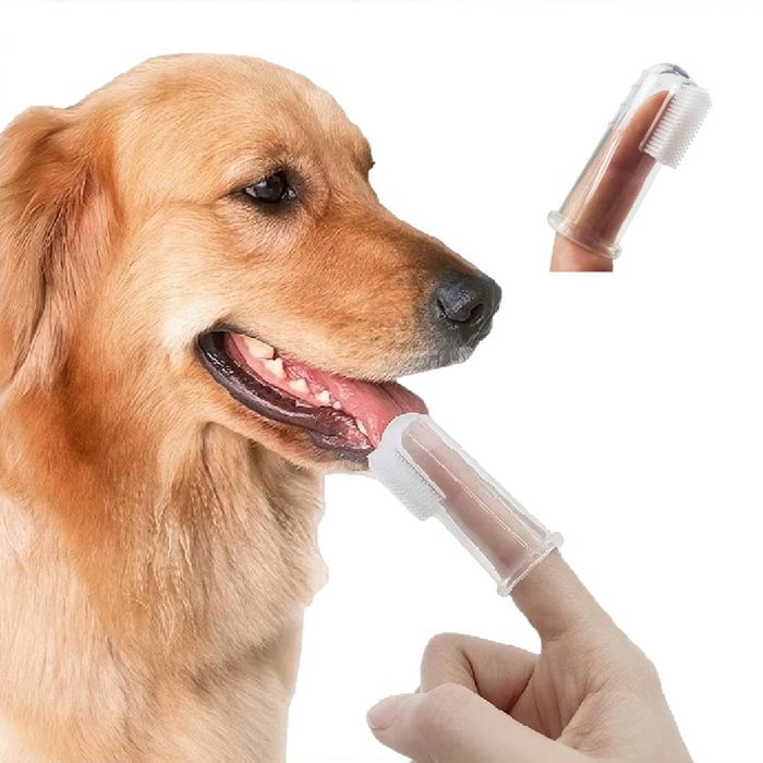Brosse à dents pour Chien Chat Chiot Hygiène Dentaire Toilettage