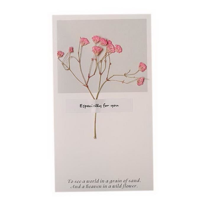 10 Pcs Fait A La Main Fleurs Sechees Carte D Invitation Voeux Carte De Souhaits Rose Gypsophile Achat Vente Faire Part Invitation 10 Pcs Fait A La Main Fleurs Cdiscount 10 Pcs Fait A La Main Fleurs Sechees Carte D Invitation Voeux Carte De Souhaits Rose Gypsophile Achat Vente Faire Part Invitation 10 Pcs Fait A La Main Fleurs Cdiscount