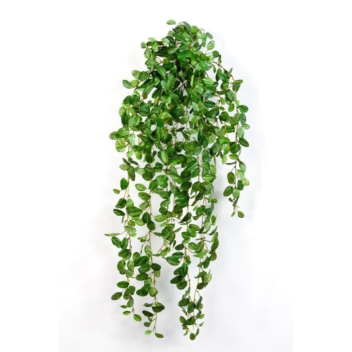 Plante artificielle Fittonia, 700 feuilles, vert-blanc, 85 cm - Plante  artificielle tombante - Buisson artificiel - artplants - Cdiscount Maison