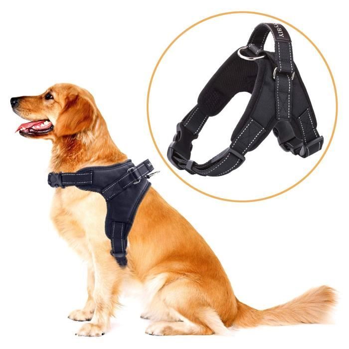 Harnais discount gilet chien