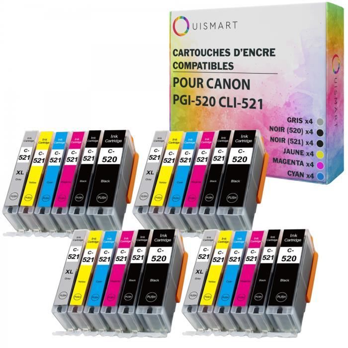 Lot De 10 Cartouches D'encre Compatibles Pour Imprimante Canon PGI-520/521 - Neuf