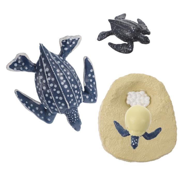 Cycle de vie de la tortue luth