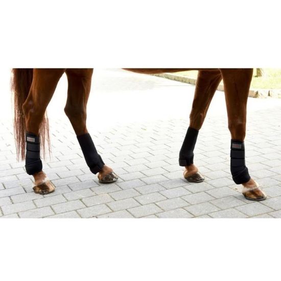 Kerbl Cheval Gu/êtres de Transport N/éopr/ène pour Pur Sang Noir
