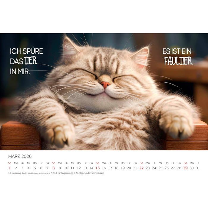 Calendrier Mural 2026 Edition Seidel – Chatons, Format A4, Reliure Spirale, Superbes Photos