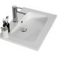 Neova Plan En Resine Angelo 1 Cuve Profondeur 46 Cm Largeur 60