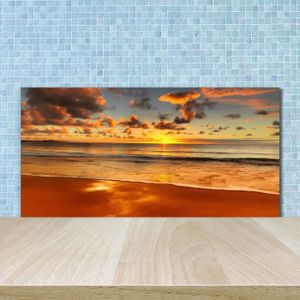 Credence De Cuisine Adhesive En Verre De Synthese Aquarium Fond Marin L 60 X H 50 Cm Achat Vente Credence Credence De Cusine Aquarium Cdiscount