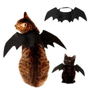 Costume Chauve Souris Cdiscount