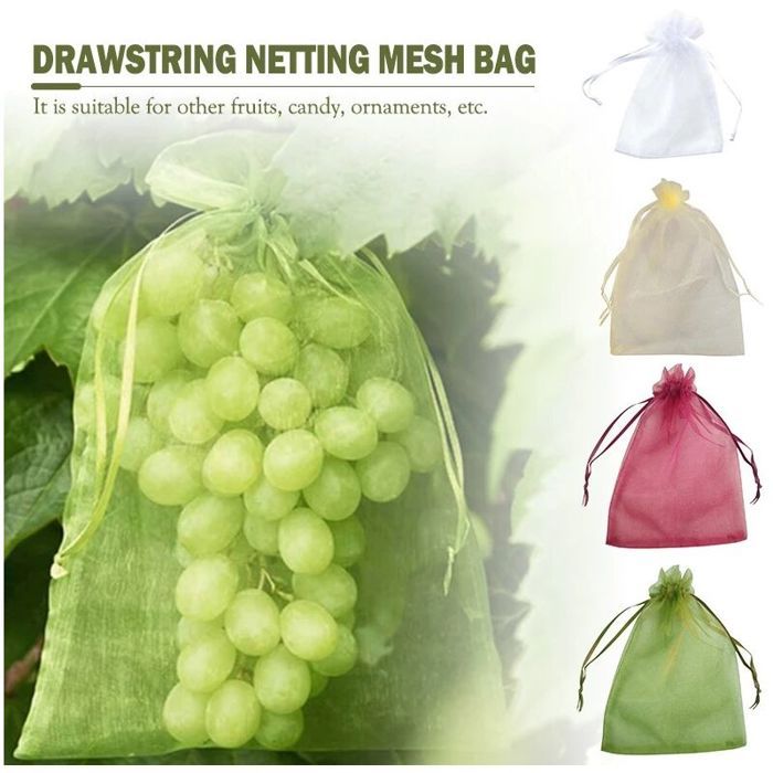 Housse Raisin Sachet Protection Raisin,100pcs Sac Protection Fruits 30x20cm,pour Sachet Protection Fruits