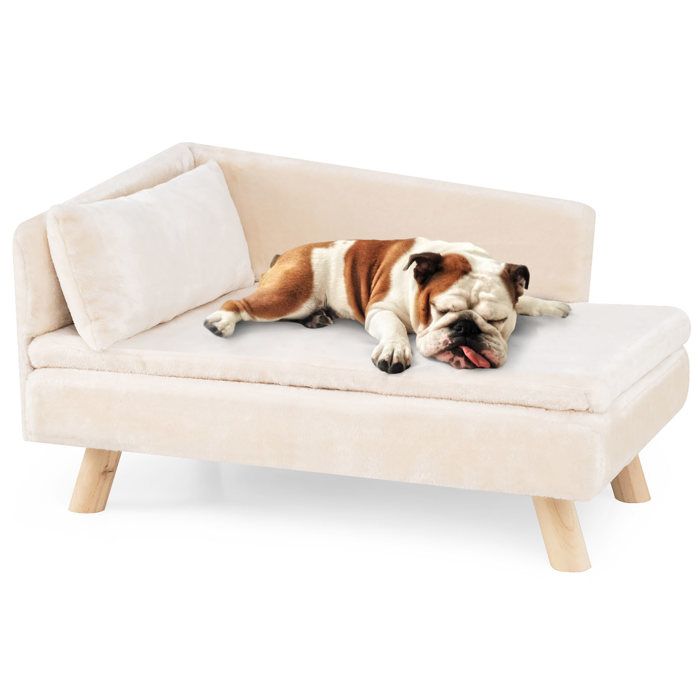Lit Surélevé pour Animaux de Compagnie COSTWAY Coussin et Oreiller Amovibles Pieds en Bois Dossier Haut Charge 50 kg Blanc Lit Surélevé pour Animaux de Compagnie COSTWAY Coussin et Oreiller Amovibles Pieds en Bois Dossier Haut Charge 50 kg Blanc