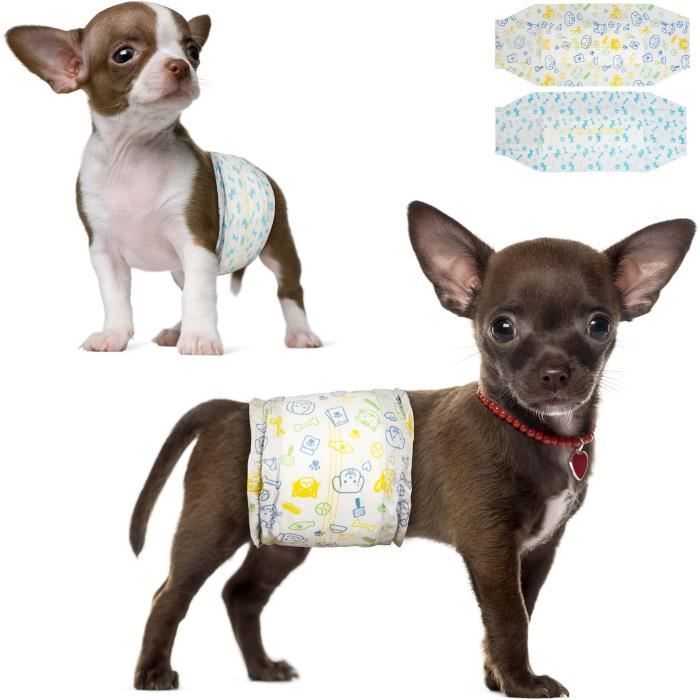 Couches jetables pour Chiens mâles, Bandes ventrales pour Chiens mâles, Super absorbantes et