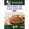 Graines de Lin Brun Bio 1KG - Qualité Supérieure - amoseeds-2