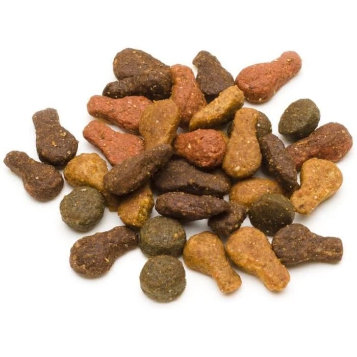 Solimo outlet cat food