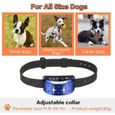 BS17241-Ecent Collier Anti-aboiement automatique rechargeable collier de dressage pour entraîner chien de différente taille (B-3