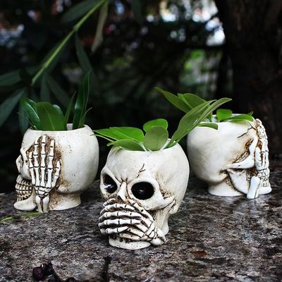 20 Mini Têtes De Mort En Résine - Décoration Halloween, Plantes En Pot - Crânes Miniatures
