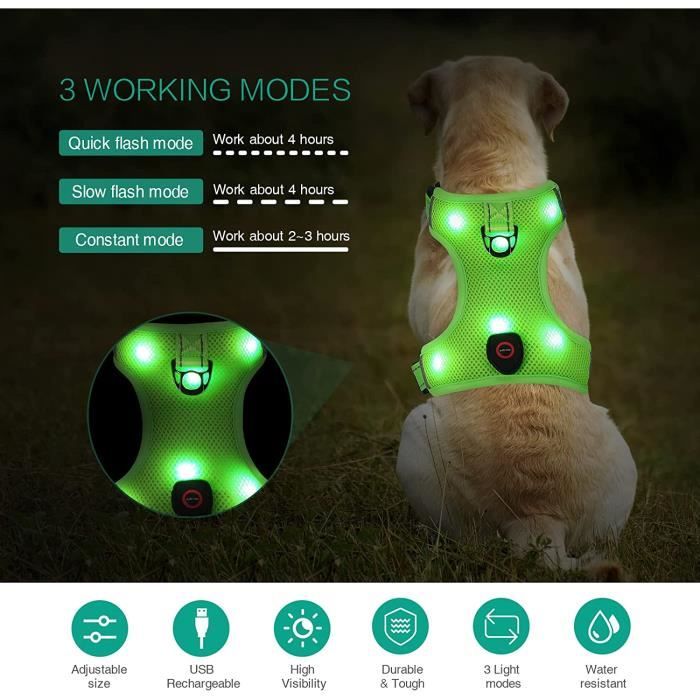 Harnais pour chien à LED Harnais pour chien à LED Modes d