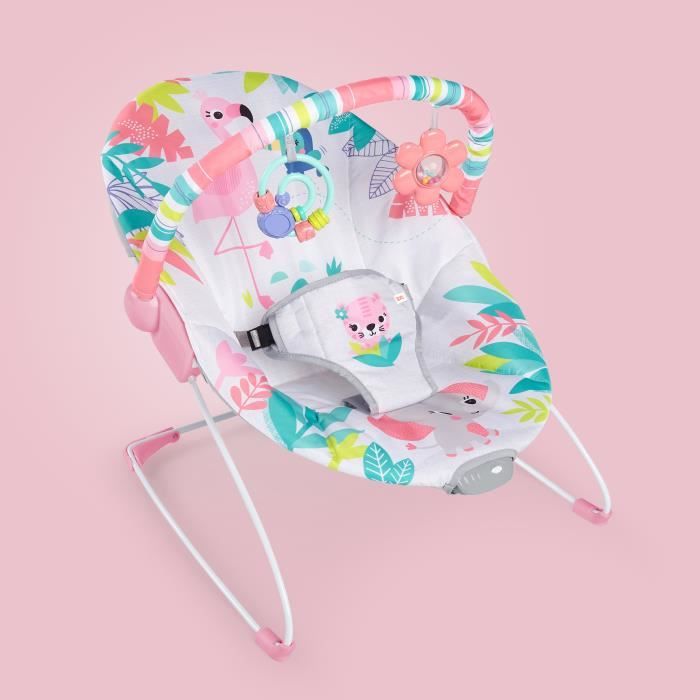 Transat Vibrant Bright Starts Taggies - Siège Bébé 0-6 Mois Avec Musique Et Jouets Amovibles