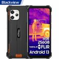 Blackview BV8900 Téléphone Portable Incassable Android 13 6,5" 16Go+256Go Caméra Thermique 64MP FLIR Amélioré 10380mAh IP68 Orange-0