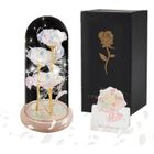 GATO NEGRO Rose Éternelle - Cadeau Pour Femme - Rose Éternelle Dans Un Verre Avec Lumière Led - Dôme En Verre - Belle Et La Bête - Décoration