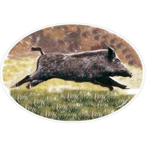 Autocollant sanglier - Achat / Vente pas cher