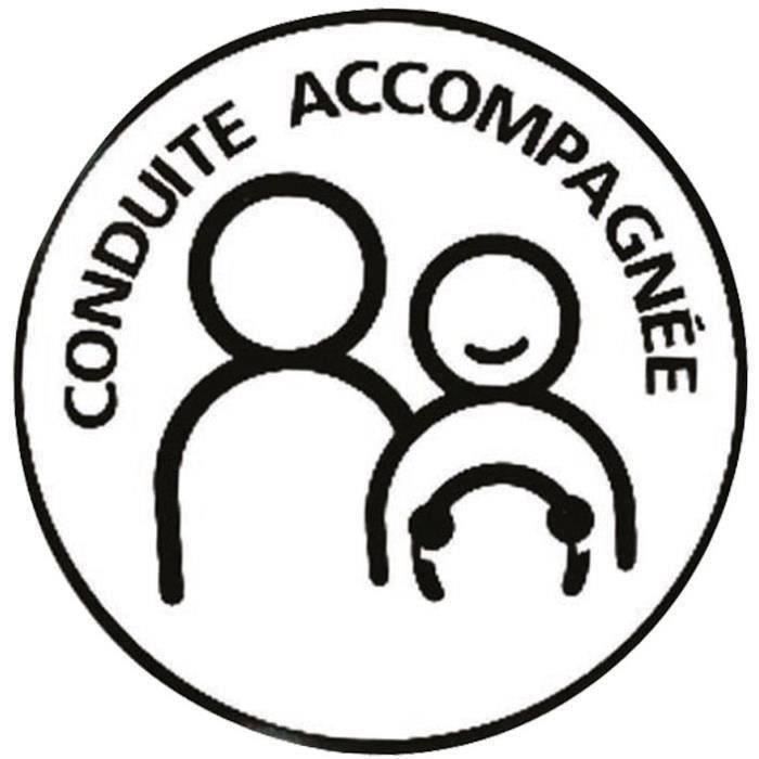 Disque conduite accompagnée magnétique sur carte