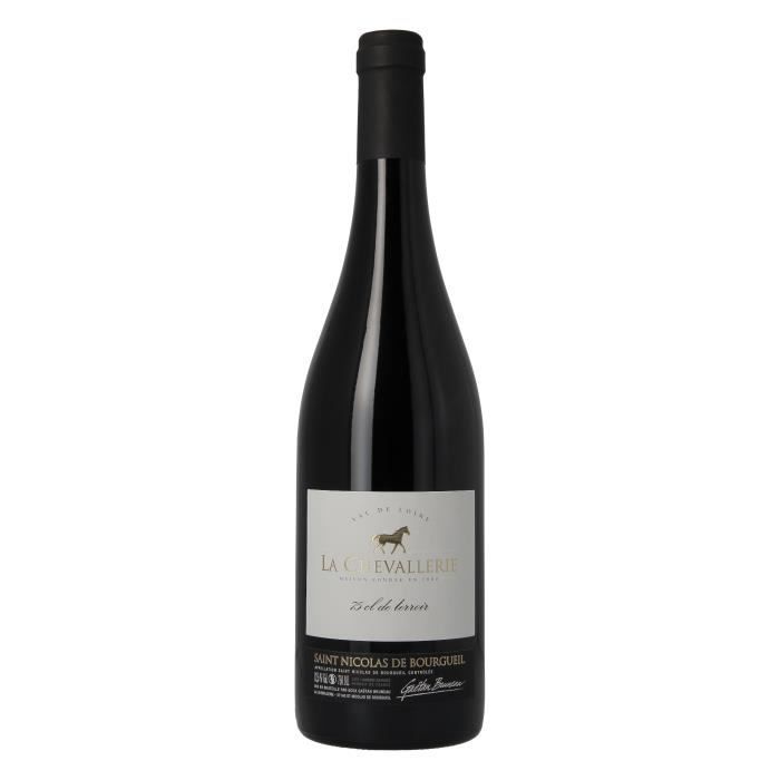 Saint Nicolas de Bourgueil - 75 cl de terroir - Vin rouge AOP du Val de Loire - 100% cabernet franc - Lot de 1 bouteille