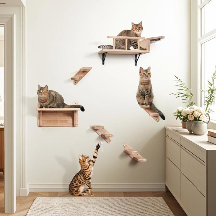 Meilleurs prix pour Étagères Murales Pour Chat,Mur D'Escalade Pour Chat,Avec Gamelle,Mur,Chaise Longue Et Escalier Pour Chat,Pour Mur,Éléments Muraux