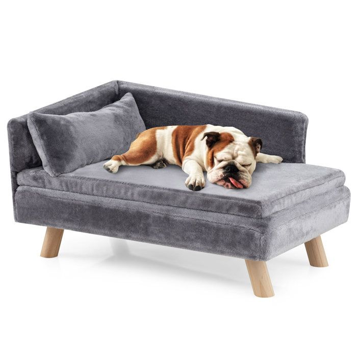 Lit Surélevé pour Animaux de Compagnie COSTWAY Coussin et Oreiller Amovibles Pieds en Bois Dossier Haut Charge 50 kg Gris Lit Surélevé pour Animaux de Compagnie COSTWAY Coussin et Oreiller Amovibles Pieds en Bois Dossier Haut Charge 50 kg Gris