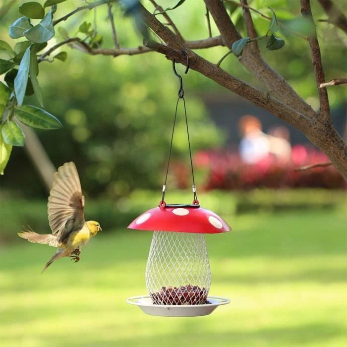 Mangeoire à oiseaux en forme de champignon Lampe solaire en fer pour  extérieur Mangeoire cardinale pour terrasse et jardin [621] - Cdiscount