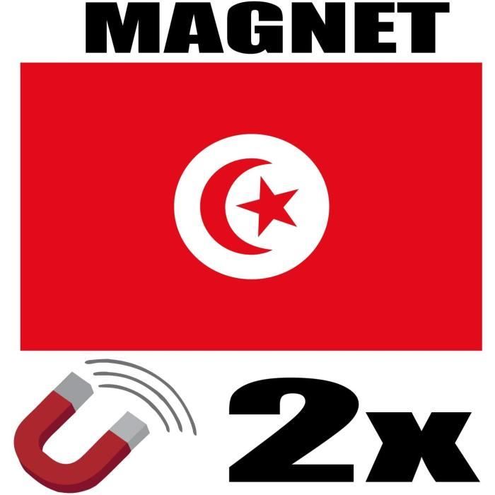 SAFIRMES 2 X Pakistan Flag Magnets 6 X 3 Cm Magnetic Fridge