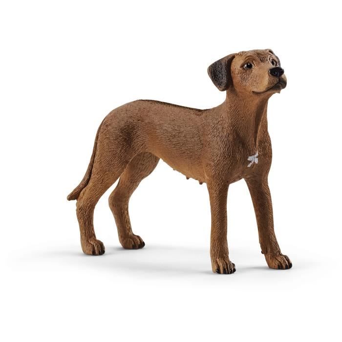 Schleich Figurine Chien De Rhodesie A Crete Dorsale 135 Farm World Cdiscount Jeux Jouets