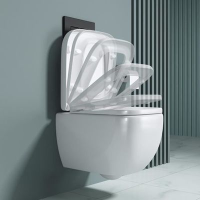 Xenz gio WC suspendu sans chasse d'eau 50,5x35cm sans siège gris